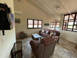 Apartments and rooms Murage 2369