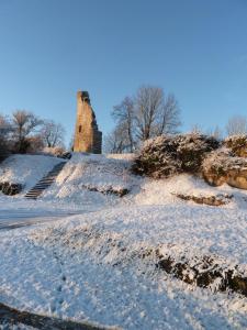 Maisons de vacances La fourche a javelles : photos des chambres