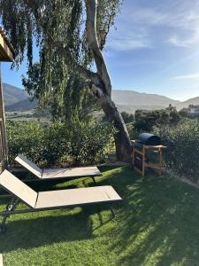Appartements Les collines de lava : photos des chambres