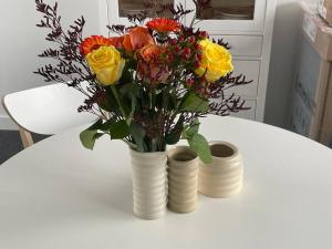 Appartements Cocon a Crozon - Superbe appartement neuf avec vue : photos des chambres