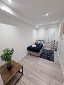 The Hibbert Lux Modern Apartment 1