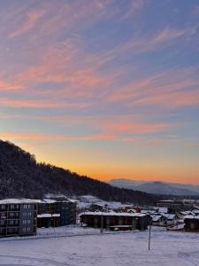 Apartment in Bakuriani