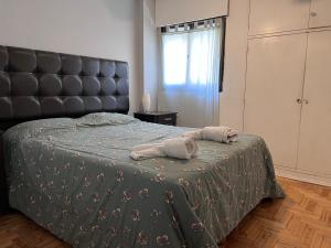 Nueva Córdoba Temporario
