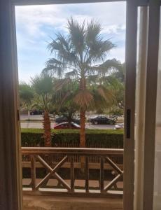 Compound Montaza hadayaq October