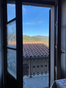 Vincent van Gogh Dolce Vita