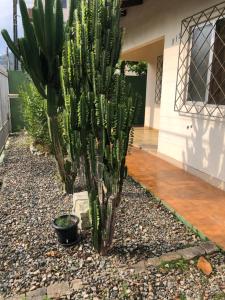 Quarto a 50 metros da praia