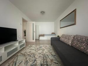 Apartament 2 Cam Cetate