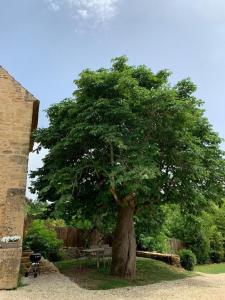 Maisons de vacances La bichonelle - marronnier pour 2 : photos des chambres