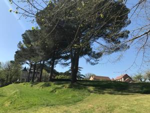 Maisons de vacances Le fort : photos des chambres