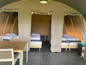 Lodge tent hondje met privé sanitair