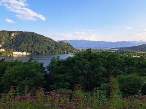 Apartment Augenweide