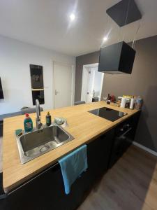 Magnifique appartement 1 chambre