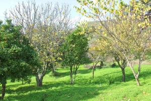 La Ermita by SIERRA VIVA