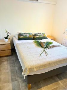 Maisons de vacances Villa dans un Camping - Le Joyau du Camping : photos des chambres