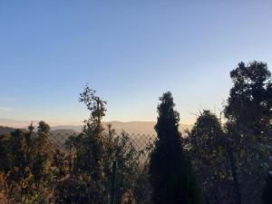 Yogi Greenwood Cottage