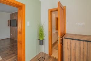 Rézkakas Apartman - Gyula