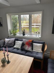 Peace & tranquility in untouched nature by the Sea