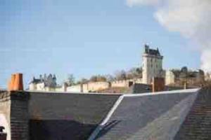 Le petit Leon - CENTRE Chinon - idéal CNPE