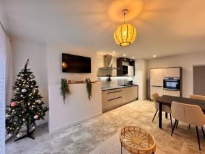 Appartements Le Jardin Japonais Epinal avec terrasse : photos des chambres