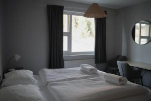 Standard Double Room room in Laugarvatn Hostel