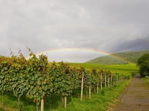 Ferienhaus am Gunzenbach