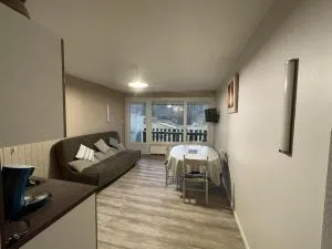 Studio rénové 3*, balcon sud, pied pistes – Wifi, lave-linge, lits superposés, proche commerces - FR-1-787-53 - 拉维西尔