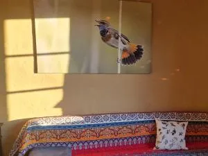 BlaukehlchenBleibe - Krickow