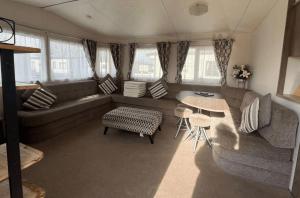 19 swan view