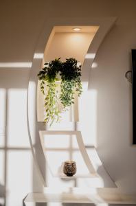 Appartements Chez Robin T3 Castelsarrasin : photos des chambres
