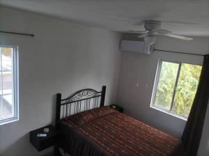 bonito estudio para disfrutar casa palmeras