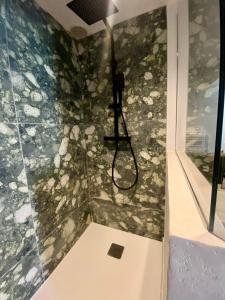 Beau T3 Spacieux, lumineux et central