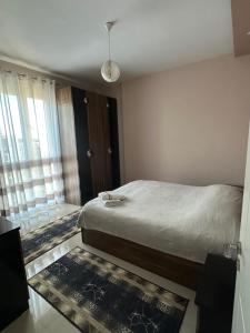 Tirana Rent Apartment