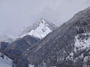 Двухэтажные апартаменты в New Gudauri
