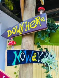 Wonderland21 - Appartements B&B - 7 min Disneyland Paris