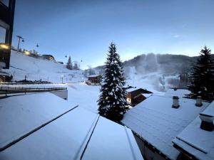 POLARIS - Bel appartement centre village et proche pistes - Wifi - Garage