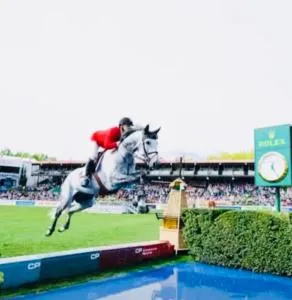 Feels home - Priddis