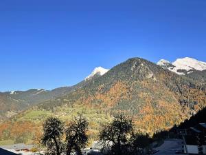LEden Roc - T2 confortable au pied des pistes, vue sur la vallée