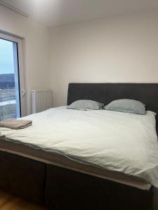 Сучасні номера біля Плзня