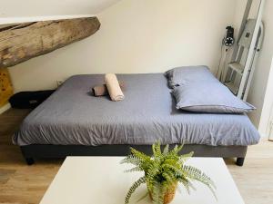 Joli nid douillet au Vieux-Port