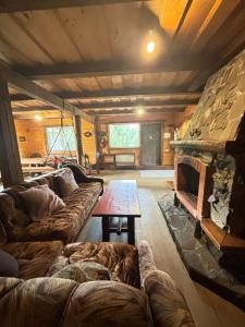 Ранчо в Карпатах