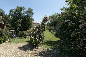 Appartamento con 2 Camere da Letto