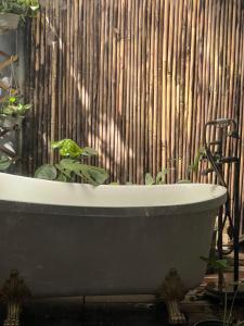 Happy house, Free public n u d e