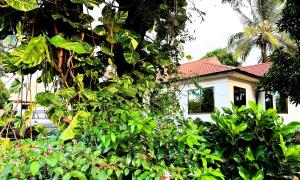 Elrad Msamvu Villa with Privacy by Monalisa