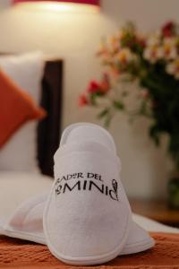 Parador del Dominico