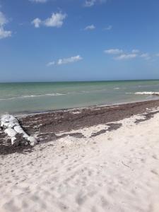 Casa Pepe Vacation Rental Progreso