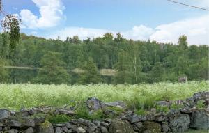 Lovely Home In Backaryd With Lake View