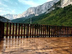 Komarnica Forest Owl