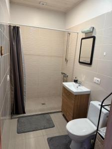 Deluxe Double Studio room in Villa Midesta