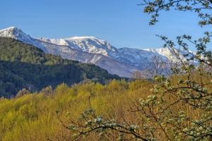 Authentic House with Stunning Mountain View - Karashka