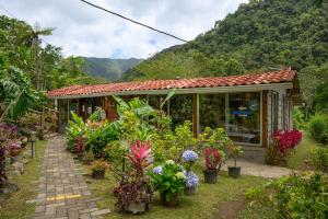 Blue Morpho Lodge